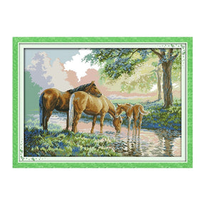 Família de cavalos