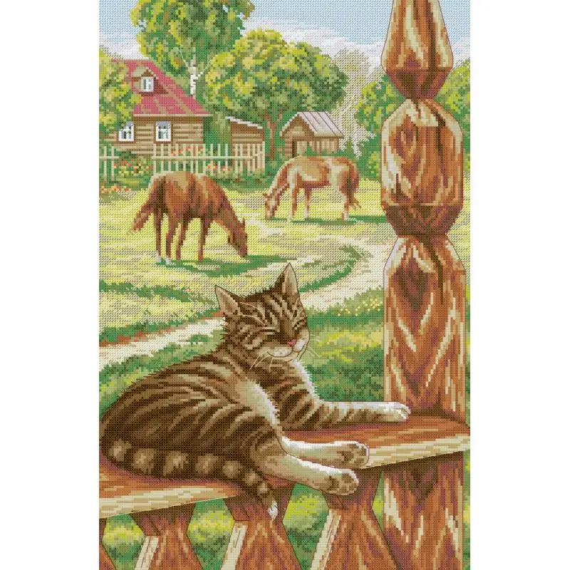 Gato Sereno no Campo
