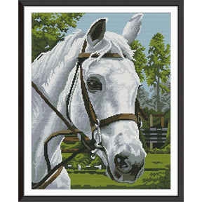 Coleção Cavalos brancos (Kit Individual)