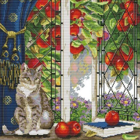 Gato e Maçãs